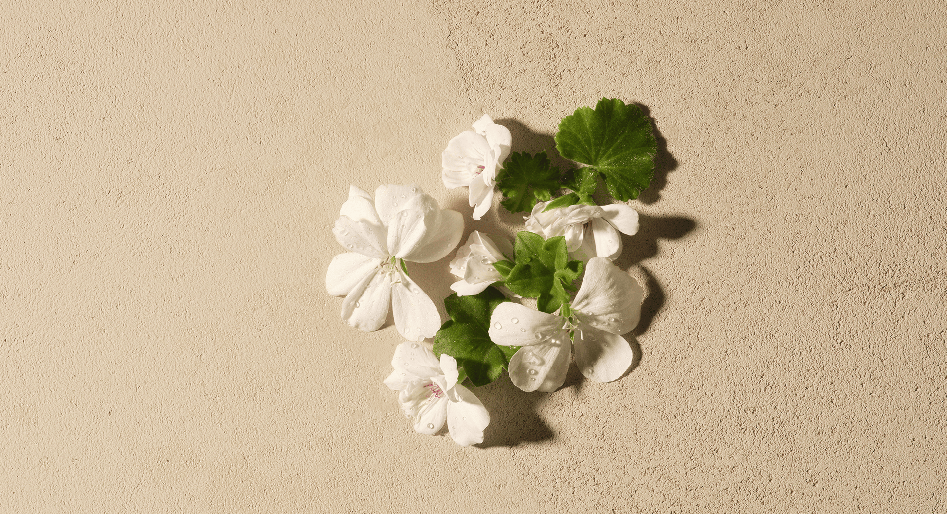 Ingredient 1 desktop.png